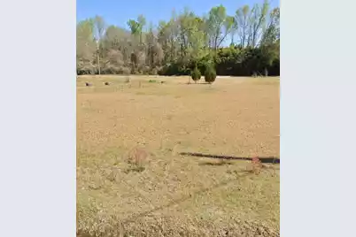 0 Lazy Lane, Bamberg, SC 29003 - Photo 11