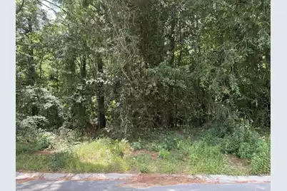 308 Poplar Branch Drive E, Moncks Corner, SC 29461 - Photo 1