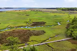 2415 Rice Pond Rd, Charleston, SC 29414 - Photo 79