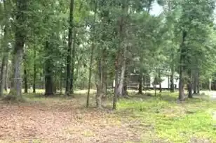 4466 Artemis Ln, Meggett, SC 29449 - Photo 11