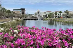 130 River Landing Dr, Charleston, SC 29492 - Photo 53