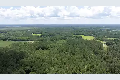 0 Toney Bay Road, Holly Hill, SC 29059 - Photo 17