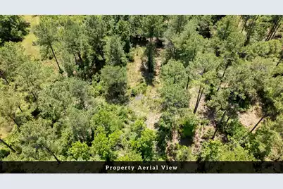 0 Toney Bay Road, Holly Hill, SC 29059 - Photo 17