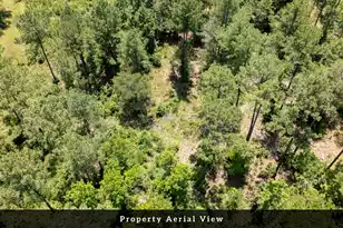 0 Toney Bay Rd, Holly Hill, SC 29059 - Photo 17