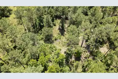 0 Toney Bay Road, Holly Hill, SC 29059 - Photo 27