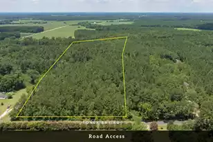 0 Toney Bay Rd, Holly Hill, SC 29059 - Photo 3