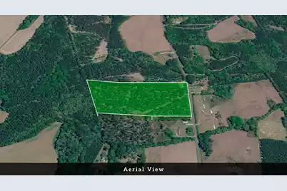 0 Toney Bay Road, Holly Hill, SC 29059 - Photo 13
