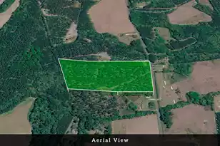 0 Toney Bay Rd, Holly Hill, SC 29059 - Photo 13