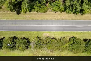 0 Toney Bay Rd, Holly Hill, SC 29059 - Photo 15