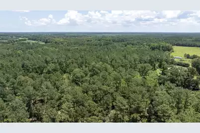 0 Toney Bay Road, Holly Hill, SC 29059 - Photo 25