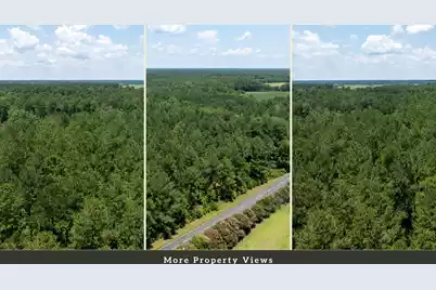 0 Toney Bay Road, Holly Hill, SC 29059 - Photo 19