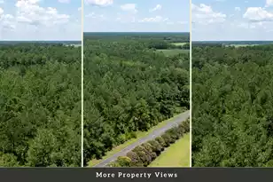 0 Toney Bay Rd, Holly Hill, SC 29059 - Photo 19