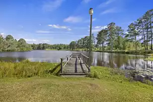 126 Towhee Cir, Orangeburg, SC 29118 - Photo 41