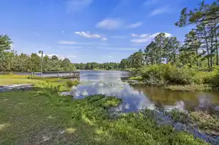 126 Towhee Cir, Orangeburg, SC 29118 - Photo 1
