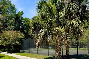 2494 Etiwan Ave, Charleston, SC 29414 - Photo 7