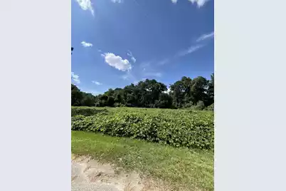 0 Low Country Highway, Ehrhardt, SC 29081 - Photo 3