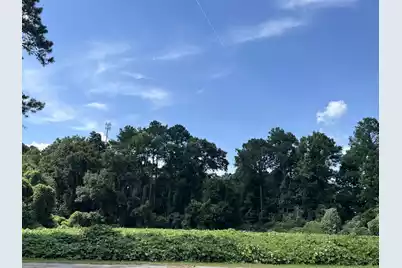 0 Low Country Highway, Ehrhardt, SC 29081 - Photo 1