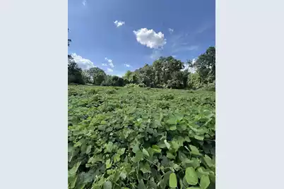 0 Low Country Highway, Ehrhardt, SC 29081 - Photo 5