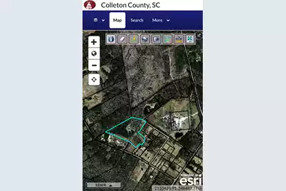 436 Earnels Drive, Walterboro, SC 29488 - Photo 37