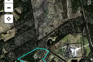 436 Earnels Dr, Walterboro, SC 29488 - Photo 37