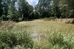 436 Earnels Dr, Walterboro, SC 29488 - Photo 31