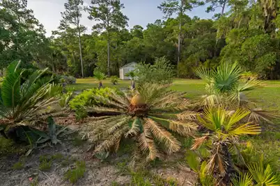 1513 Highway 174, Edisto Island, SC 29438 - Photo 29