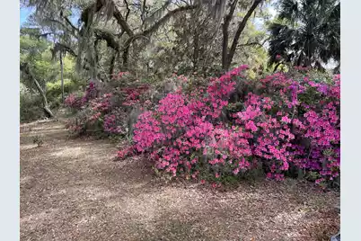 1513 Highway 174, Edisto Island, SC 29438 - Photo 73