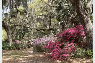 1513 Highway 174, Edisto Island, SC 29438 - Photo 75