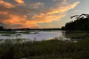1513 Hwy 174, Edisto Island, SC 29438 - Photo 23
