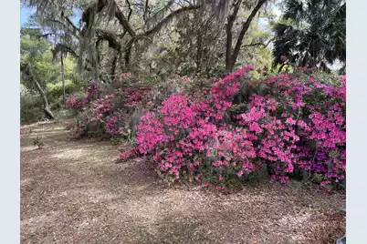 1513 Highway 174, Edisto Island, SC 29438 - Photo 79
