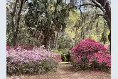 1513 Highway 174, Edisto Island, SC 29438 - Photo 81