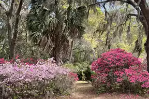 1513 Hwy 174, Edisto Island, SC 29438 - Photo 81