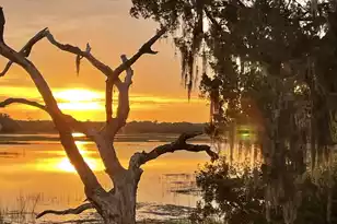 1513 Hwy 174, Edisto Island, SC 29438 - Photo 33