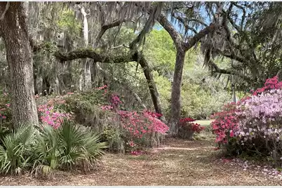 1513 Highway 174, Edisto Island, SC 29438 - Photo 31