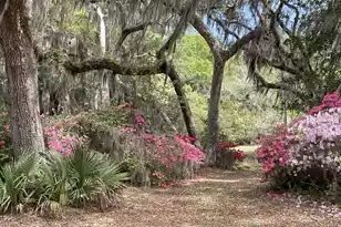 1513 Hwy 174, Edisto Island, SC 29438 - Photo 31