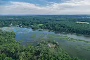 1513 Hwy 174, Edisto Island, SC 29438 - Photo 45