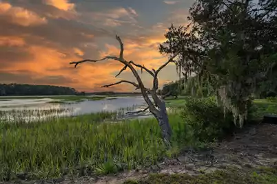 1513 Highway 174, Edisto Island, SC 29438 - Photo 3