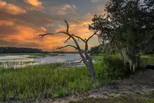 1513 Hwy 174, Edisto Island, SC 29438 - Photo 3