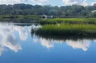2017 Kings River Trl, Hollywood, SC 29449 - Photo 11