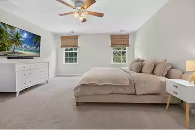 677 Silver Moss Drive, Moncks Corner, SC 29461 - Photo 53