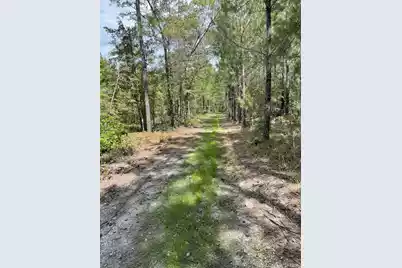 Tbd House Road, Summerton, SC 29148 - Photo 3