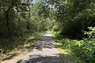2435 Lantern St, Charleston, SC 29414 - Photo 39