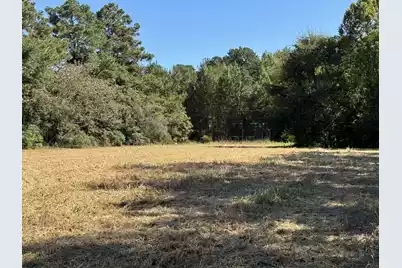0 Clarks Hill Drive #2, Saint George, SC 29477 - Photo 5