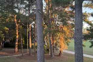 182 Golfview Ln, Summerville, SC 29485 - Photo 3