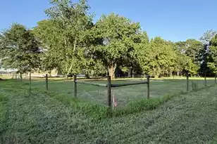 4940 Charleston Hwy, Rowesville, SC 29133 - Photo 11