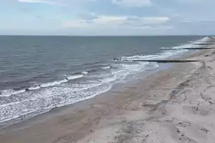 2422 Hwy 174, Edisto Island, SC 29438 - Photo 53