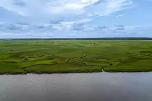 2422 Hwy 174, Edisto Island, SC 29438 - Photo 59