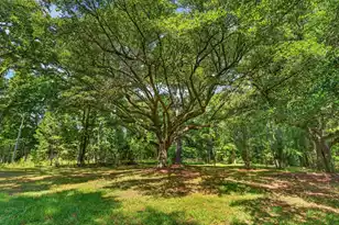 1321 Canady Branch Rd, Bonneau, SC 29431 - Photo 7