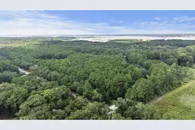1451 Bears Bluff Road, Wadmalaw Island, SC 29487 - Photo 19