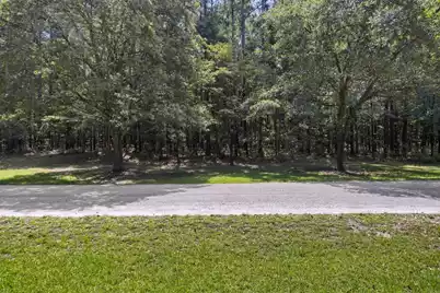 1451 Bears Bluff Road, Wadmalaw Island, SC 29487 - Photo 21